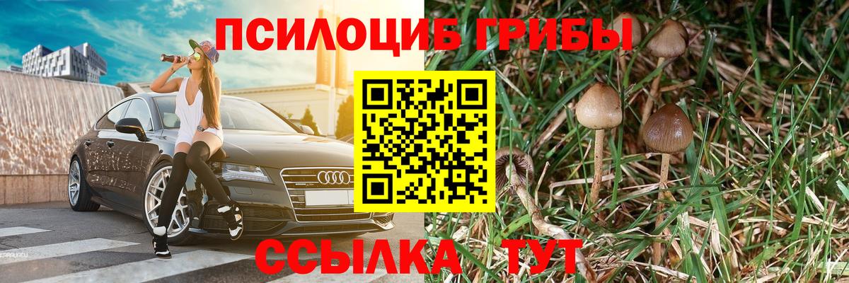 Псилоцибиновые грибы прущие грибы  Вход с VPN  Галлюциногенные грибы MAGIC MUSHROOMS  Темрюк 