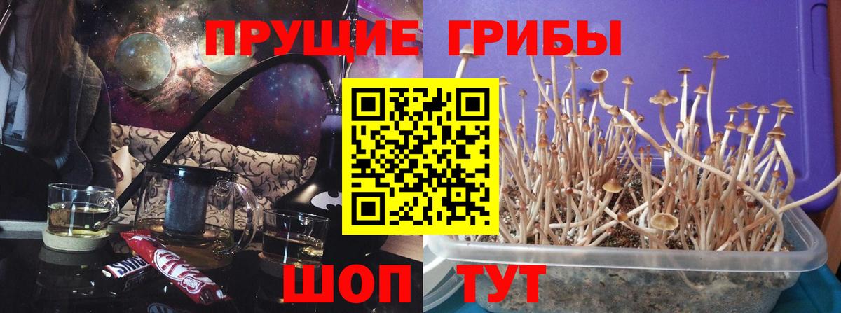 Псилоцибиновые грибы Magic Shrooms Темрюк